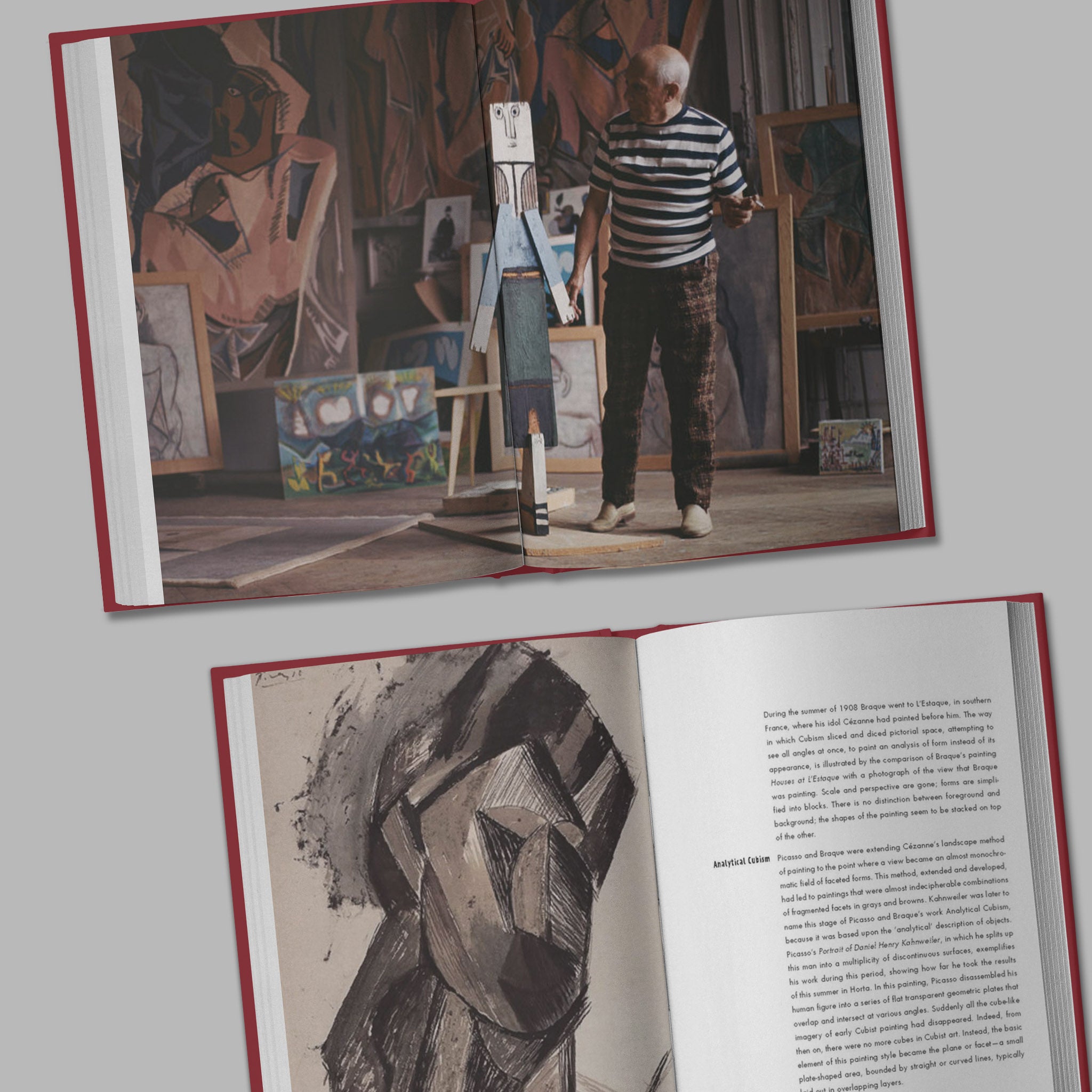 Book Design / Cubist Picasso