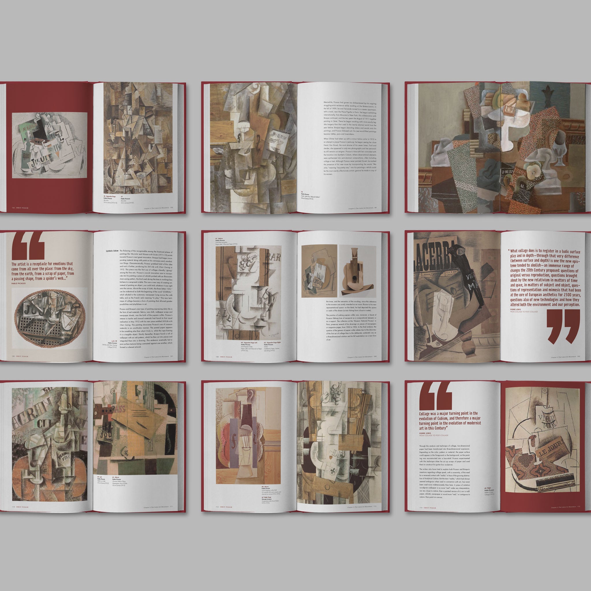 Book Design / Cubist Picasso