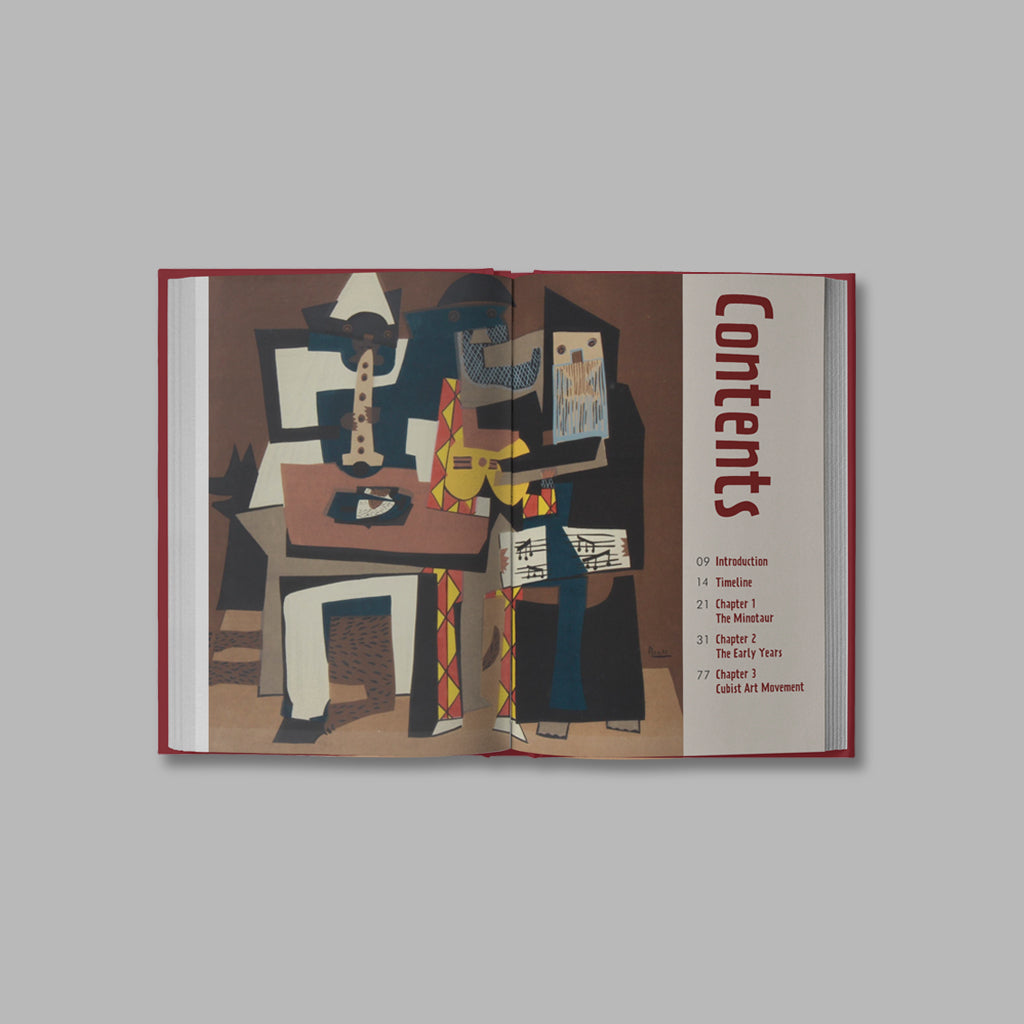 Book Design / Cubist Picasso