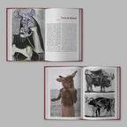 Book Design / Cubist Picasso