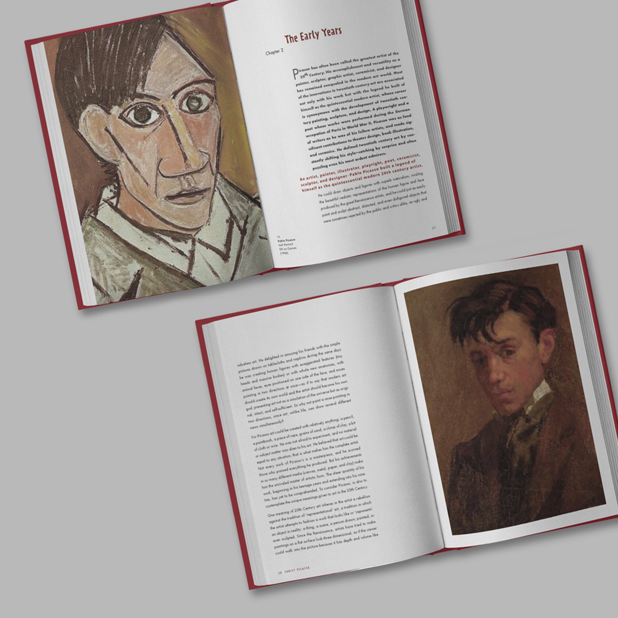 Book Design / Cubist Picasso