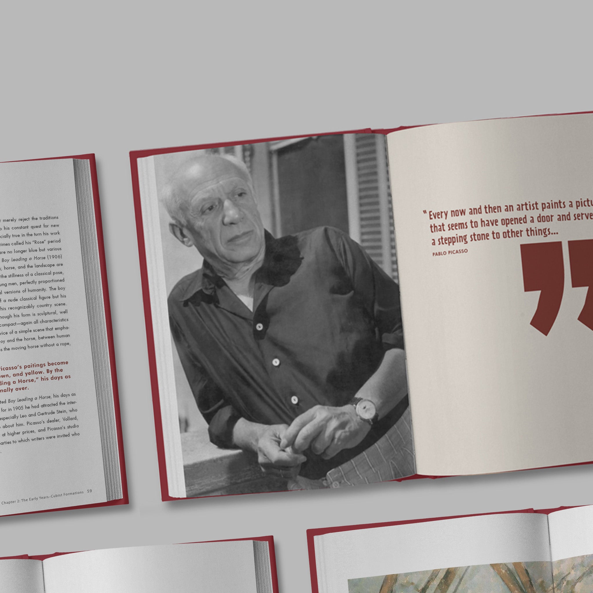 Book Design / Cubist Picasso